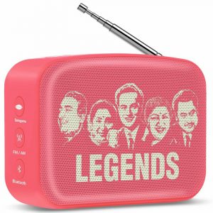 Saregama Carvaan Mini Hindi 401 PreLoaded Coral Pink