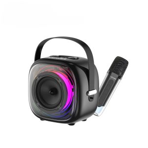 Lenyes S226 20W Bluetooth Speaker with Wireless Karaoke Mic BLACK