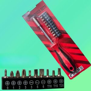 Screwdriver Set 10 in 1 Magnetic Precision Screwdriver with 10 Bits/Peace with Long Handle Red